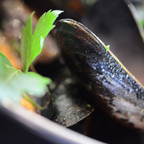 Moules marinières